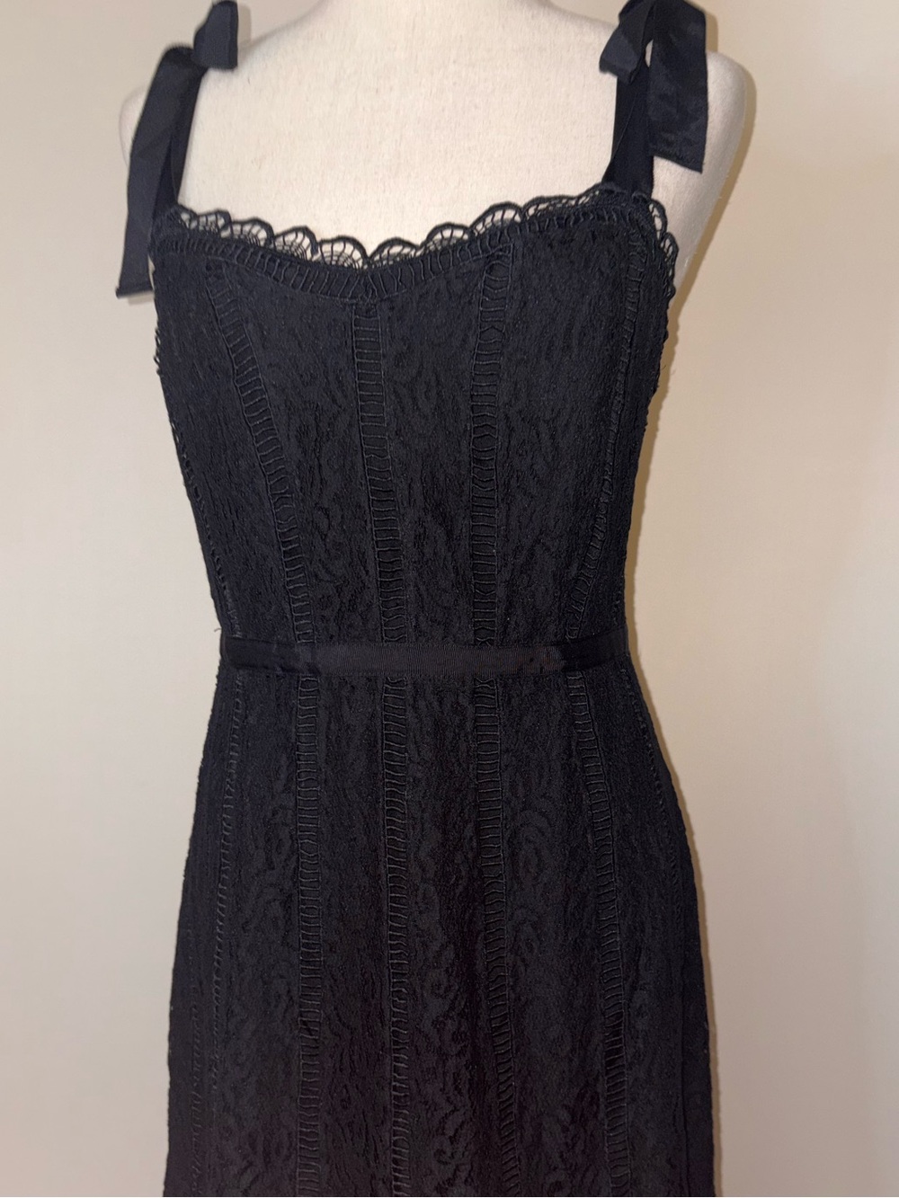 Gianni Bini Euro Boho STUNNING Lace Dress with Tie Straps Size 10 New With Tag - Picture 3 of 9